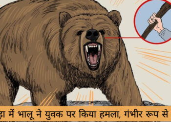 बिग ब्रेकिंग: अनगड़ा में भालू ने किया हमला युवक गंभीर रूप से घायल!