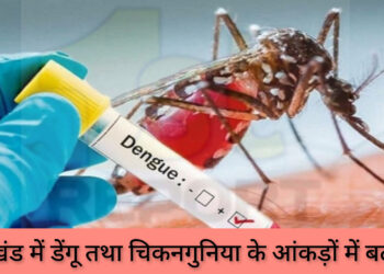 झारखंड में डेंगू तथा चिकनगुनिया के मरीजों में बढ़ोतरी, साहिबगंज पहले स्थान पर!