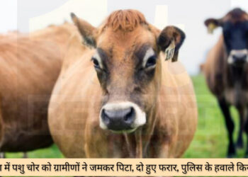 सरायकेला में पशु चोर को ग्रामीणों ने जमकर पिटा, दो हुए फरार!
