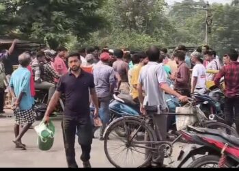 चिरकुंडा में जर्जर 11KV तार गिरने से 3 मवेशियों की मौत