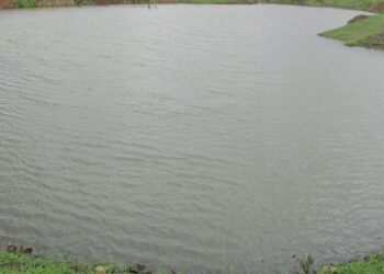 तालाब में नहाने के दौरान हादसा !