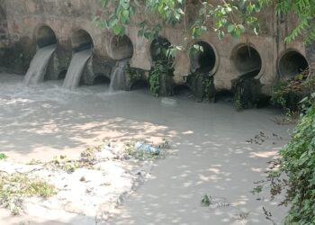 बोकारो थर्मल पावर स्टेशन फिर से दामोदर को प्रदूषित करने लगाः सरयू राय !